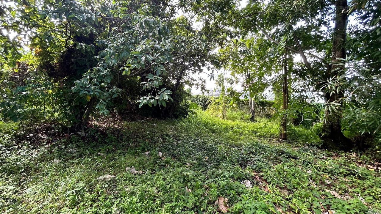 Terrain — RIVIERE-SALEE